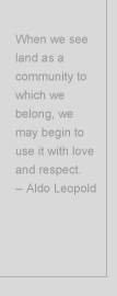 When we see land as a community to which we belong, we may begin to use it with love and respect. - Aldo Leopold