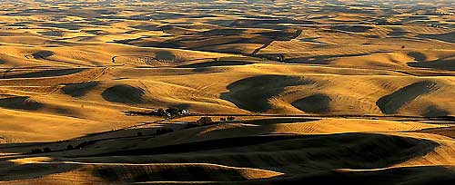 the rolling hills of the palouse