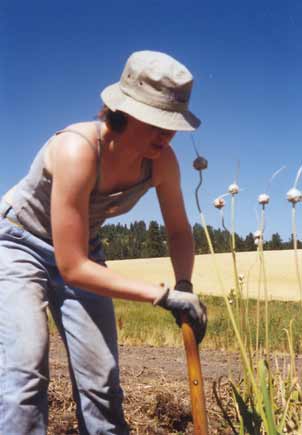 Farmhand Caroline Pharr helps with garlic harvest.